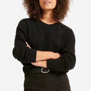 Everlane The Teddy Wool Blend Crew Neck Sweater